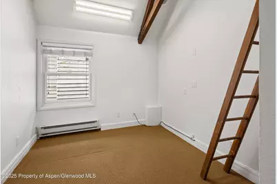 400 W Main Street #203, Aspen, CO 81611 - Photo 11