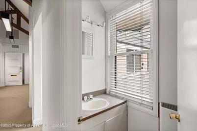 400 W Main Street #203, Aspen, CO 81611 - Photo 15