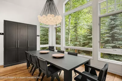 971 Ute Avenue, Aspen, CO 81611 - Photo 7