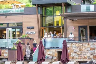 610 S West End St, Aspen, CO 81611 - Photo 47