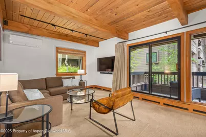 610 S West End Street #D206, Aspen, CO 81611 - Photo 7