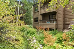 610 S West End St, Aspen, CO 81611 - Photo 25