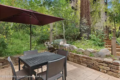 610 S West End Street #D206, Aspen, CO 81611 - Photo 33