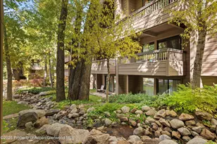 610 S West End St, Aspen, CO 81611 - Photo 1