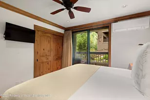 610 S West End St, Aspen, CO 81611 - Photo 13
