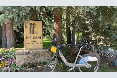 610 S West End Street #D206, Aspen, CO 81611 - Photo 51