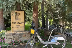 610 S West End St, Aspen, CO 81611 - Photo 51