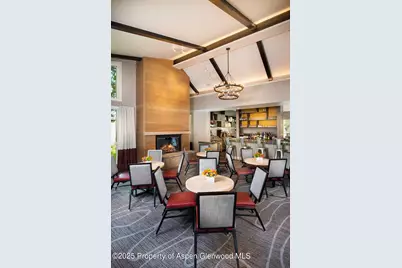 610 S West End Street #D206, Aspen, CO 81611 - Photo 39