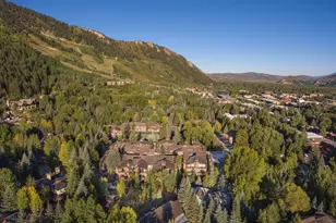 610 S West End St, Aspen, CO 81611 - Photo 45