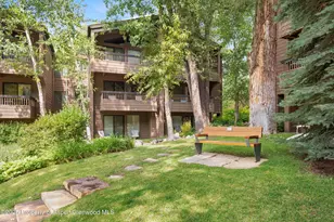 610 S West End St, Aspen, CO 81611 - Photo 23