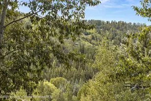 610 S West End St, Aspen, CO 81611 - Photo 29