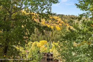 610 S West End St, Aspen, CO 81611 - Photo 21