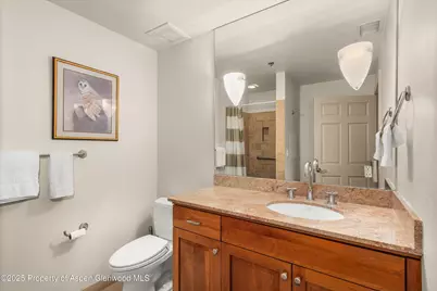 227 Midland Avenue #22, Basalt, CO 81621 - Photo 37