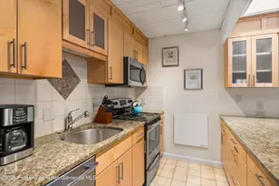 901 E Hyman Ave, Aspen, CO 81611 - Photo 9