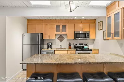 901 E Hyman Avenue #14, Aspen, CO 81611 - Photo 7