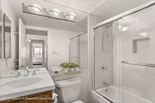 901 E Hyman Ave, Aspen, CO 81611 - Photo 11