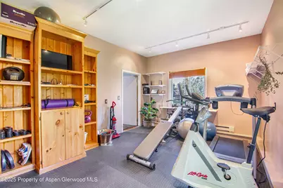 1637 Emma Spur Road, Basalt, CO 81621 - Photo 39