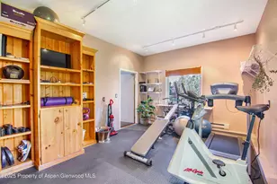 1637 Emma Spur Rd, Basalt, CO 81621 - Photo 39