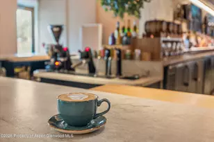 130 Wood Rd, Snowmass Village, CO 81615 - Photo 15