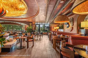 130 Wood Rd, Snowmass Village, CO 81615 - Photo 11