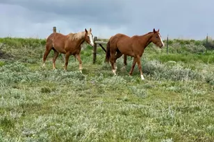 545 Knoll Ave, Craig, CO 81625 - Photo 75