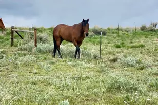545 Knoll Ave, Craig, CO 81625 - Photo 71