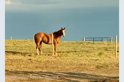 545 Knoll Avenue, Craig, CO 81625 - Photo 85