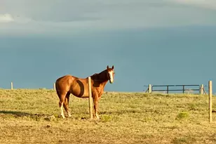 545 Knoll Ave, Craig, CO 81625 - Photo 85