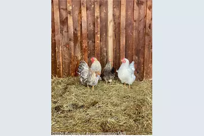 545 Knoll Avenue, Craig, CO 81625 - Photo 73