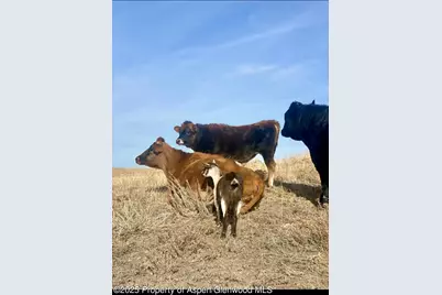 545 Knoll Avenue, Craig, CO 81625 - Photo 77