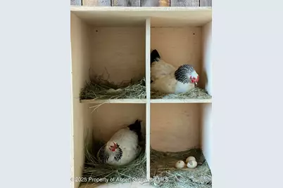 545 Knoll Avenue, Craig, CO 81625 - Photo 69