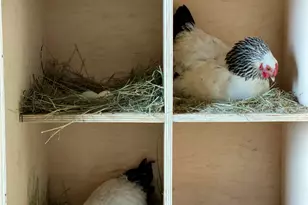 545 Knoll Ave, Craig, CO 81625 - Photo 69