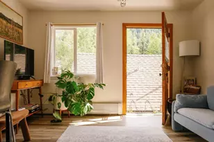 333 W Main St, Aspen, CO 81611 - Photo 5