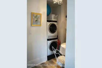 333 W Main Street #B2, Aspen, CO 81611 - Photo 31