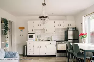 333 W Main St, Aspen, CO 81611 - Photo 11