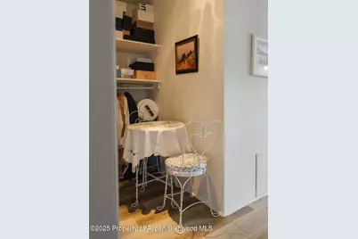 333 W Main Street #B2, Aspen, CO 81611 - Photo 33