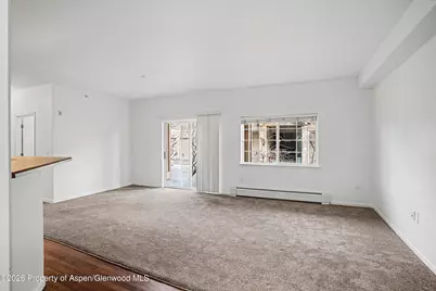 326 River View Drive #101, New Castle, CO 81647 - Photo 5