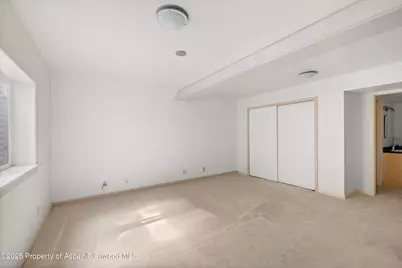 331 Holland Hills Road #2, Basalt, CO 81621 - Photo 11