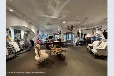 419 E Cooper Avenue, Aspen, CO 81611 - Photo 9