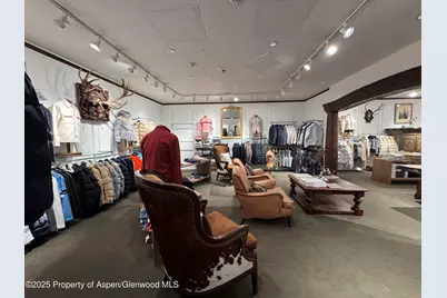 419 E Cooper Avenue, Aspen, CO 81611 - Photo 21