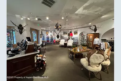 419 E Cooper Avenue, Aspen, CO 81611 - Photo 9