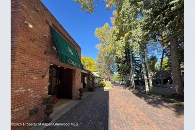 419 E Cooper Avenue, Aspen, CO 81611 - Photo 19
