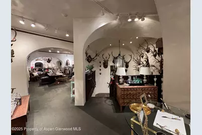 419 E Cooper Avenue, Aspen, CO 81611 - Photo 15