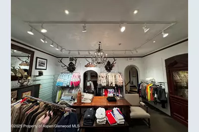 419 E Cooper Avenue, Aspen, CO 81611 - Photo 5