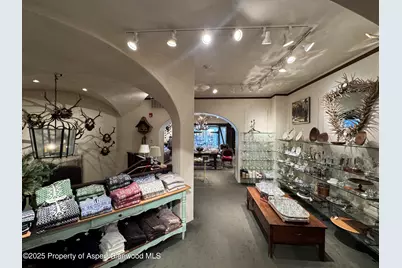 419 E Cooper Avenue, Aspen, CO 81611 - Photo 7