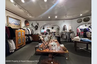 419 E Cooper Avenue, Aspen, CO 81611 - Photo 13