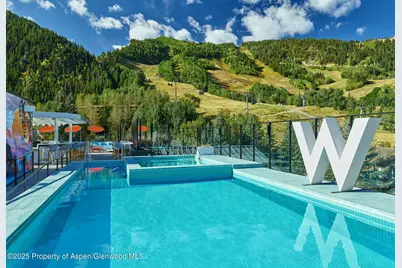 550 S Spring Street, Aspen, CO 81611 - Photo 5