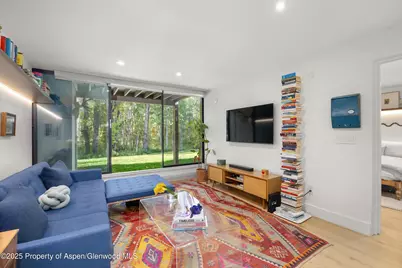 416 Vine Street #416, Aspen, CO 81611 - Photo 1