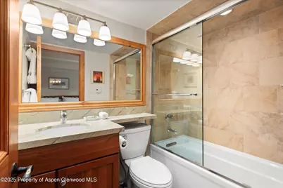 901 E Hyman Avenue #13, Aspen, CO 81611 - Photo 9