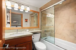 901 E Hyman Ave, Aspen, CO 81611 - Photo 9